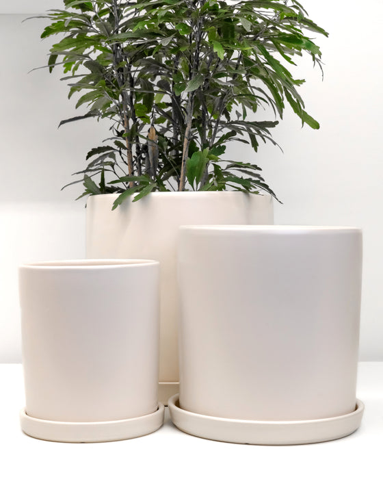 White Cylinder Pot