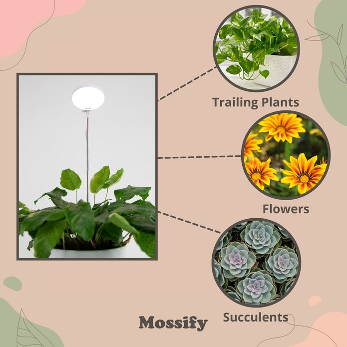 Adjustable Led Plant Light