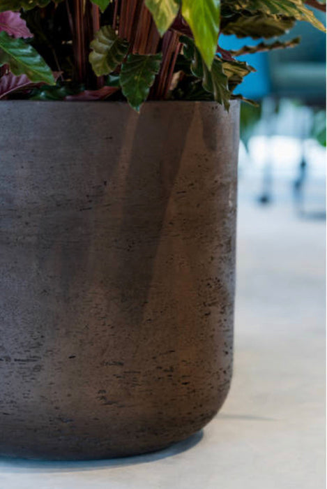 Charlie Pot Blk Washed