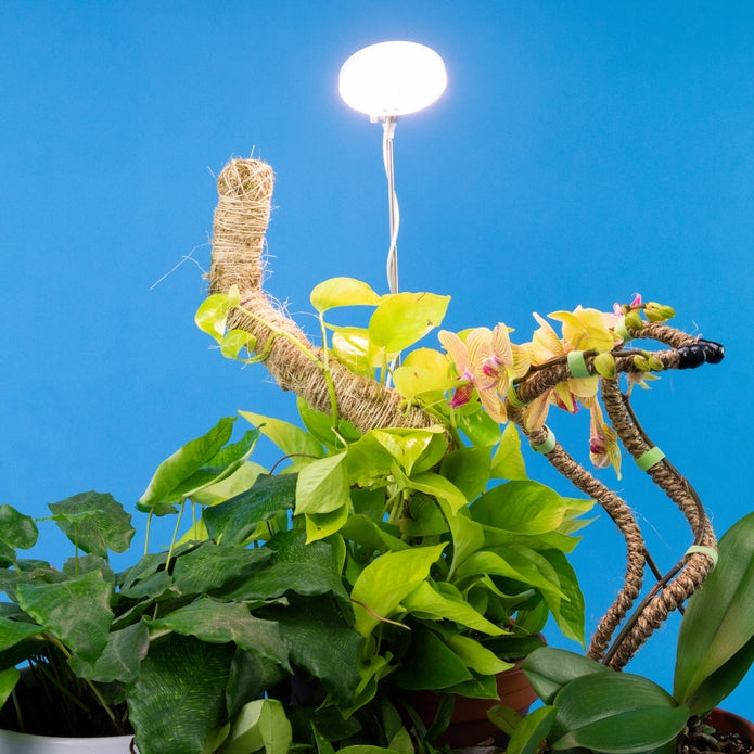 Adjustable Led Plant Light